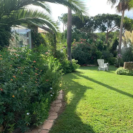 Finca Filpi-2