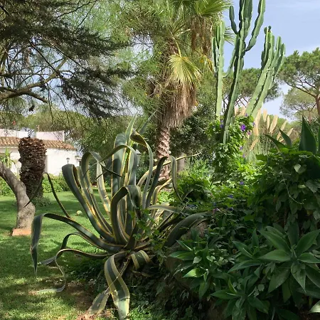 Finca Filpi-3
