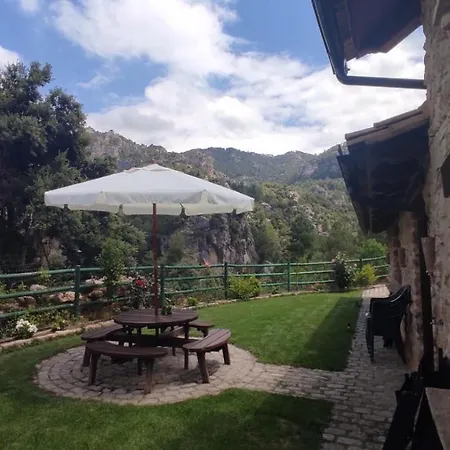 Mas De Rogelio-3