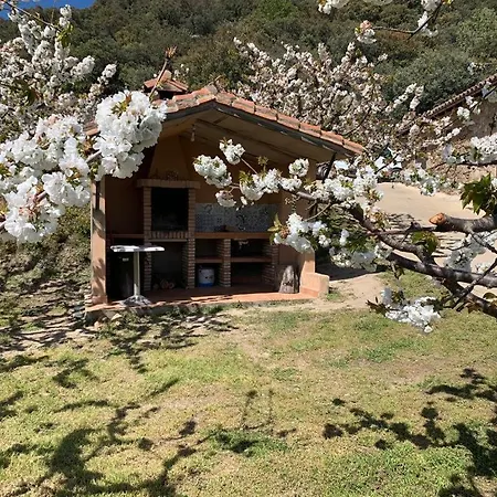 Casa Rural Canchal Madroñeras ***-3