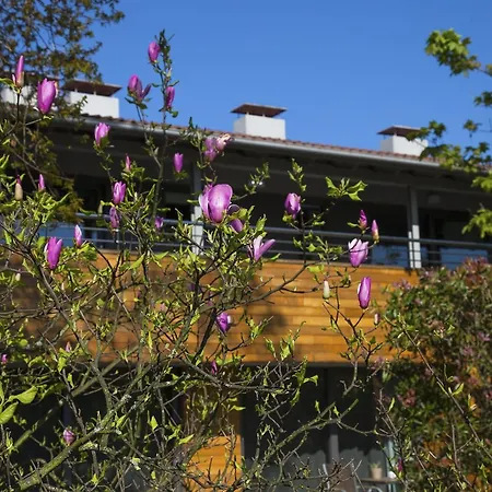 Apartamentos Casona De La Paca-3