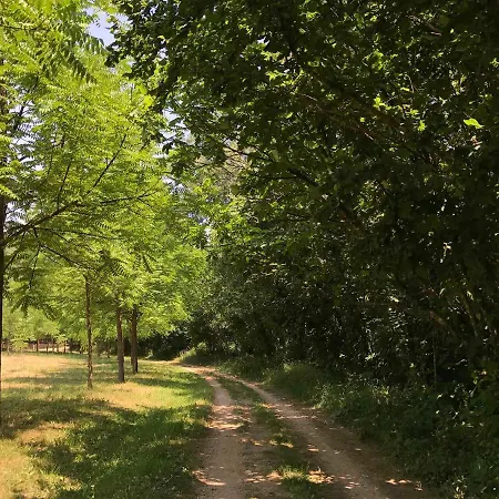 La Farga de la Muga-2