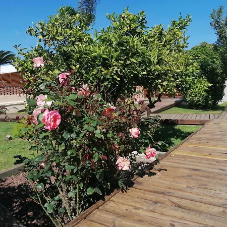 Villa Paquita - Delta De L'Ebre-3