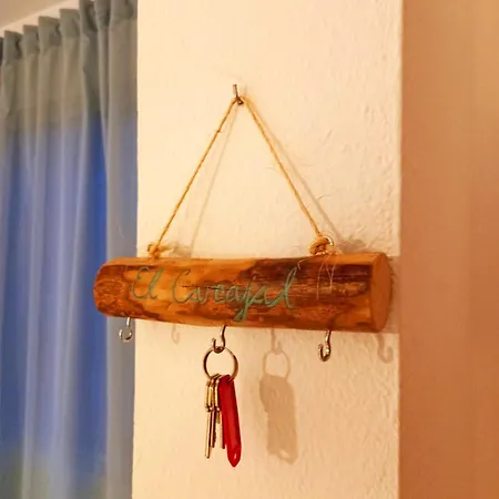 Apartamento El Carcajal-3