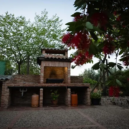 Casa rural Entreolivos-2