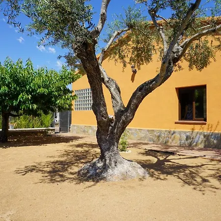 Casa Martina-2