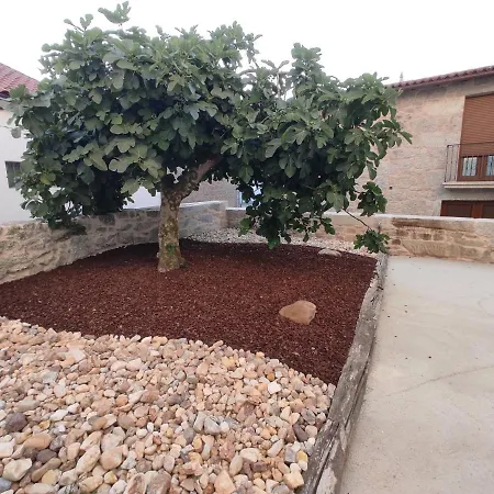 Casa Lagarto,-3