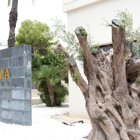 Hotel Sabina Playa (Adults Only)-2