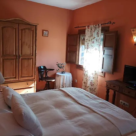 La Casa de los Gatos-2