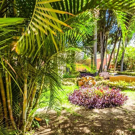 Hostal Tropical-2