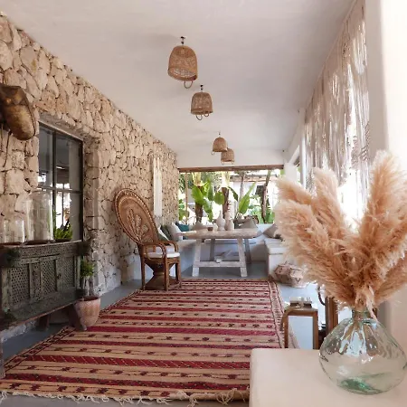 Ipunga Ibiza - Adults Only-2