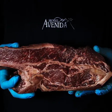Hotel Avenida Benasque-3
