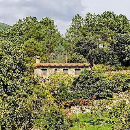 Casa Rural en Candeleda con piscina y un maravilloso jardín-2