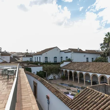 Patio Del Lino-2
