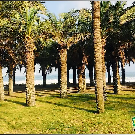 Palmeras del Golf - Torrequebrada-3