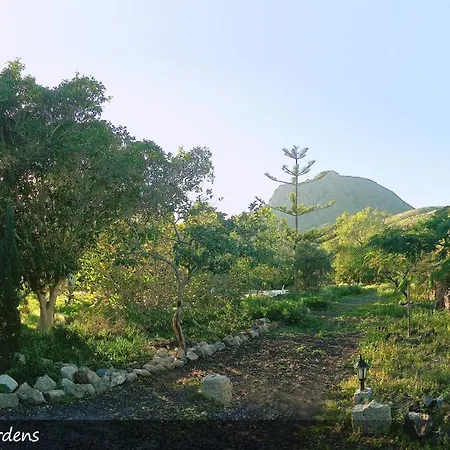 Live Finca San Miguel-3