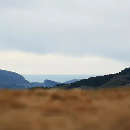 Cortijo Samadhi-3