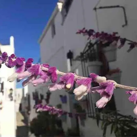 Casa Arena y Sal en pleno casco antiguo de Vejer-3