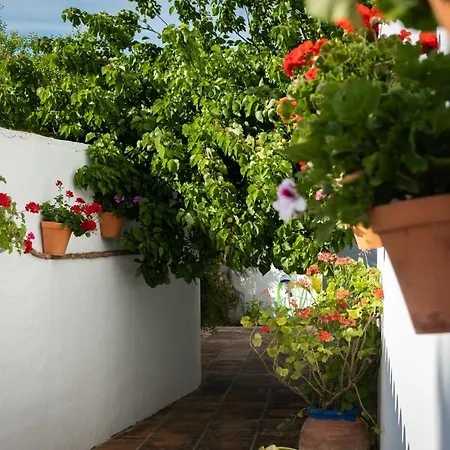 Hostal Cabo Roche-2