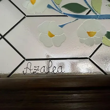 Casa Azalea - nuevo alojamiento en Setenil de las Bodegas-3
