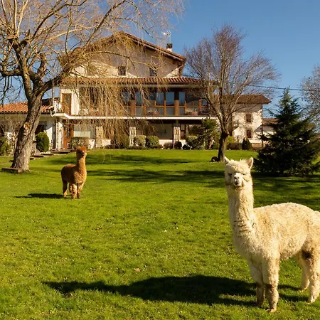 Casa Rural Flor de Vida - B&B-3