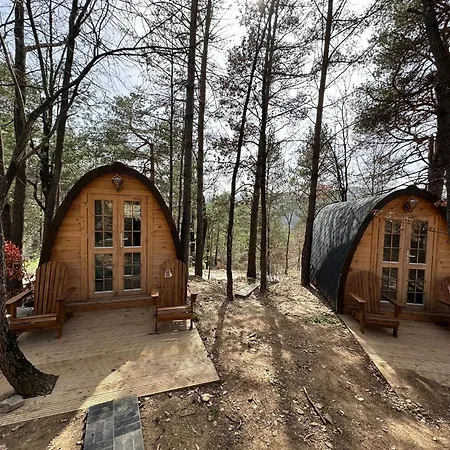 Camping Ripolles-2