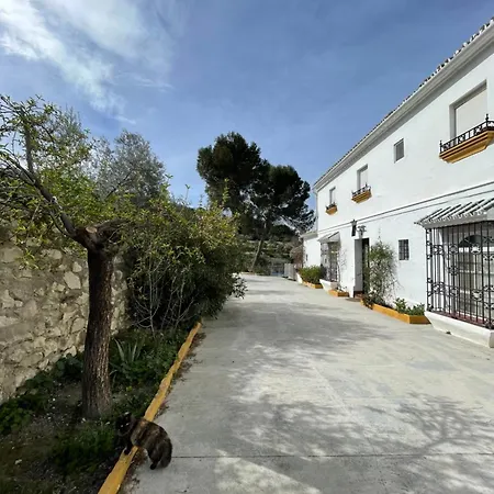 Viña Zarzarrosa Osuna-3