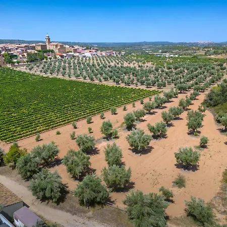 Vilar Dynamic Els Ports Resort-3