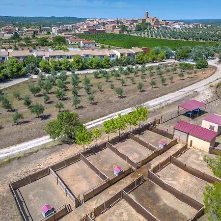 Vilar Dynamic Els Ports Resort-2
