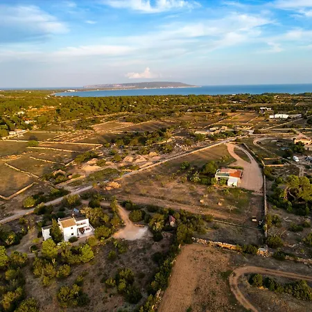 Ses Oliveres-3