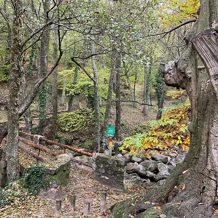 El Refugio de Felix-2