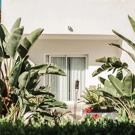 Hotel Boutique & Spa Las Mimosas Ibiza (Adults Only)-3