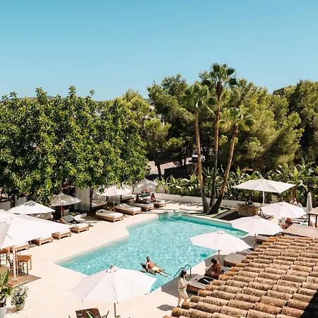 Hotel Boutique & Spa Las Mimosas Ibiza (Adults Only)-3