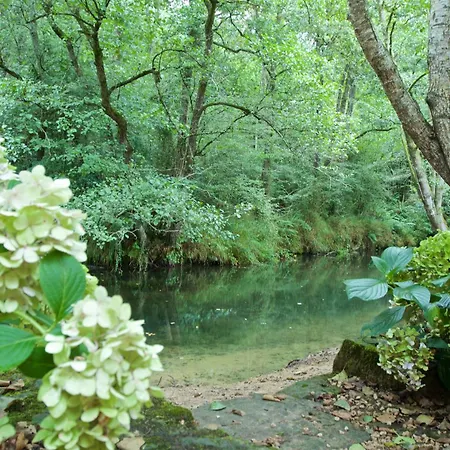 Posada PetFriendly El Molino de Cantabria B&B-2