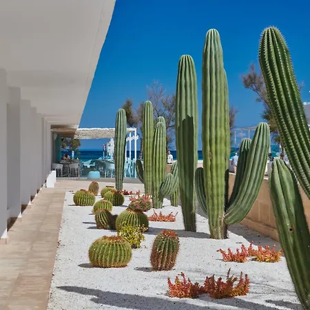 The Sea Hotel By Grupotel - Adults Only-3