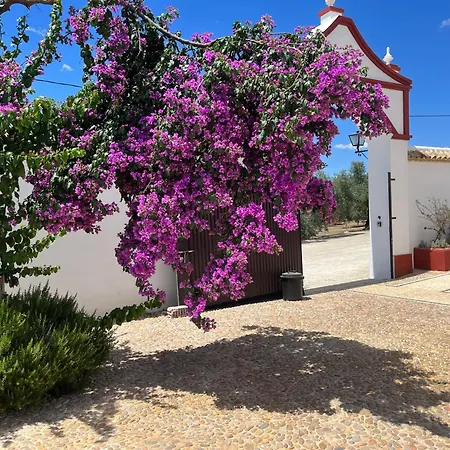 Cortijo Domínguez - Rural Experience-3
