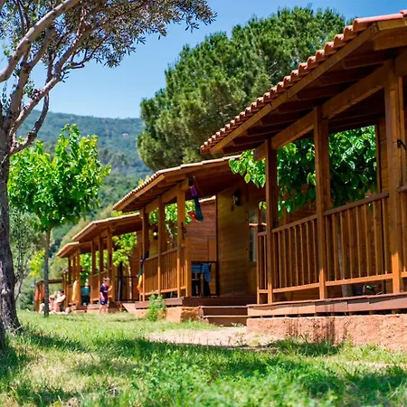 Camping El Pasqualet-2