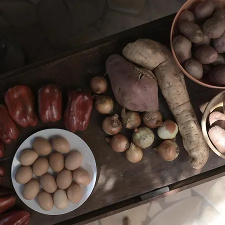 Hostel Los Amigos Yoga & Wellness-3