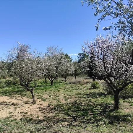 Mas Blauet - Finca With 2 Holiday Houses And Shared Pool-2