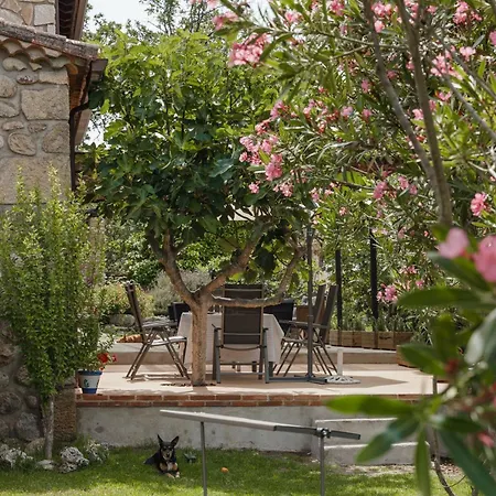 Casa Rural en Candeleda con piscina y un maravilloso jardín-3