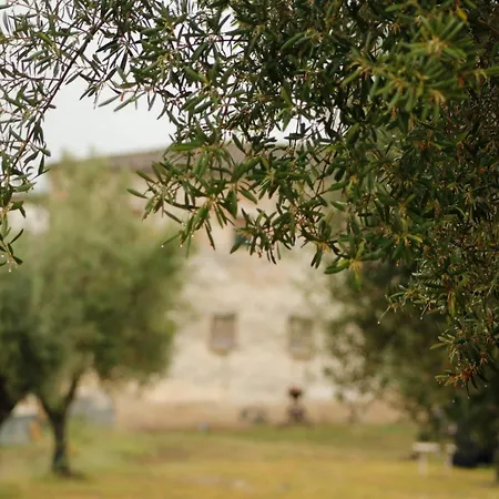 Camping Rural La Masia-2