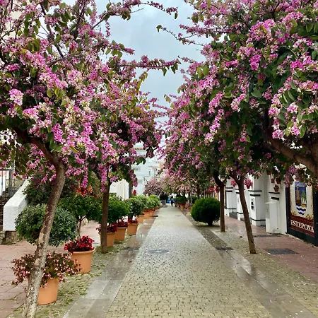 Casa San Miguel-3