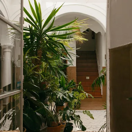 Hostal Africa-2