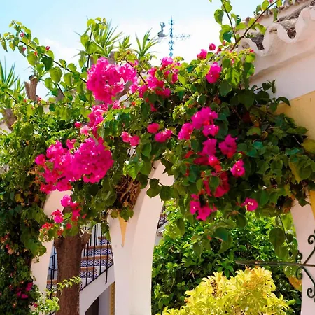 Globales Pueblo Andaluz-3