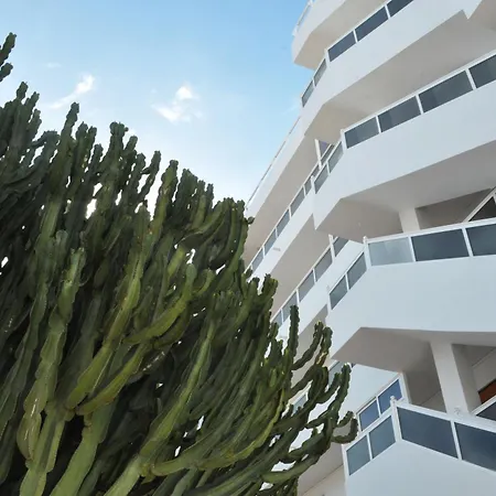 Apartamentos Calma-2