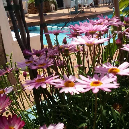 Banus Lodge-3