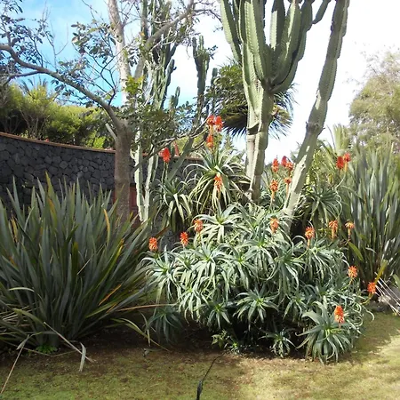 Hotel La Palma Romantica-3