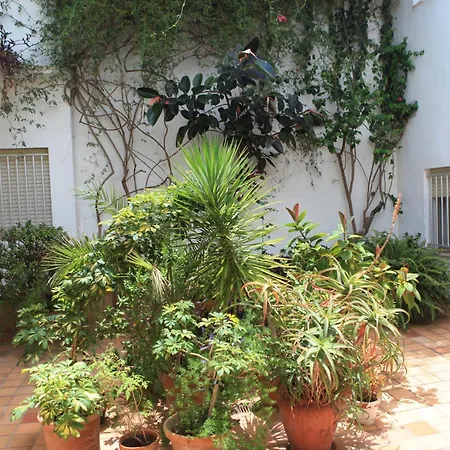Hotel El Coloso-2