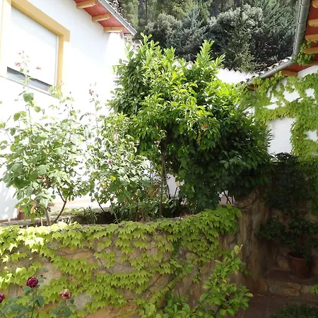 Apartamentos Arroyo Parrilla-3