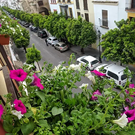 El Capricho De San Fernando, Consigna Gratis Y Parking A 200Mts-2